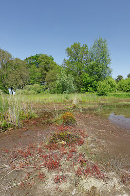 BUITEN BEELD Foto: 451309