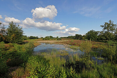 BUITEN BEELD Foto: 451313