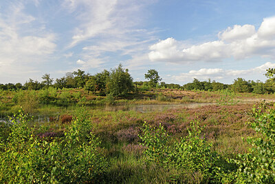 BUITEN BEELD Foto: 451314
