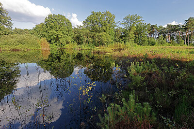 BUITEN BEELD Foto: 451315