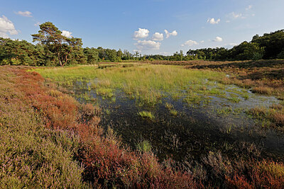 BUITEN BEELD Foto: 451320