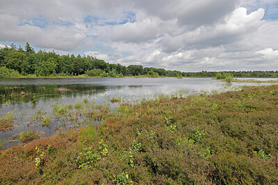 BUITEN BEELD Foto: 451321