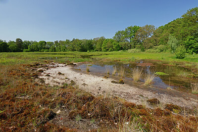 BUITEN BEELD Foto: 451324