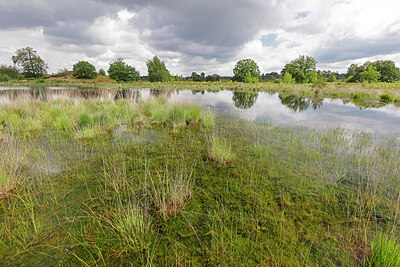BUITEN BEELD Foto: 451325