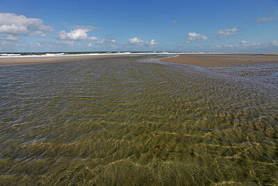BUITEN BEELD Foto: 451330