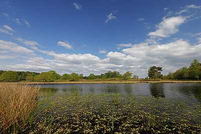 BUITEN BEELD Foto: 451332