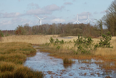BUITEN BEELD Foto: 451335