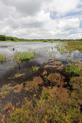 BUITEN BEELD Foto: 451336