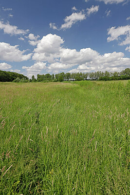 BUITEN BEELD Foto: 451337