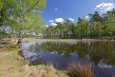 BUITEN BEELD Foto: 451338