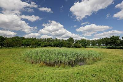 BUITEN BEELD Foto: 451339