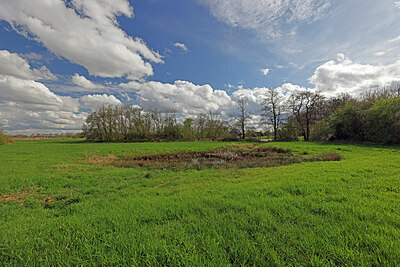 BUITEN BEELD Foto: 451342