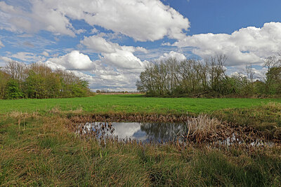 BUITEN BEELD Foto: 451343