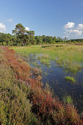 BUITEN BEELD Foto: 451346