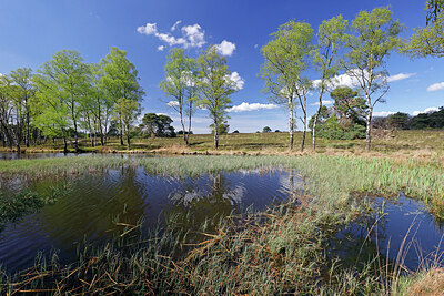 BUITEN BEELD Foto: 451348