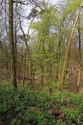 BUITEN BEELD Foto: 451349