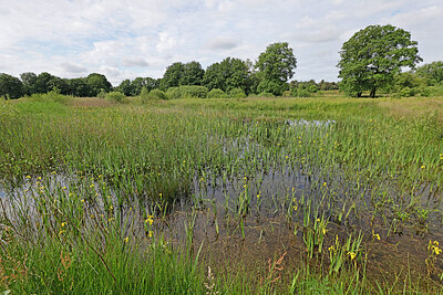 BUITEN BEELD Foto: 451352