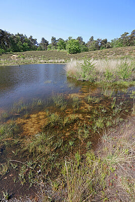 BUITEN BEELD Foto: 451356