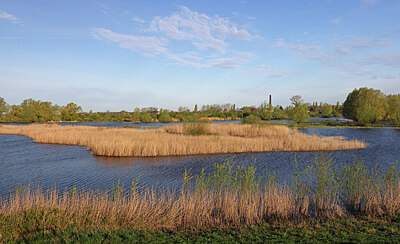 BUITEN BEELD Foto: 451358