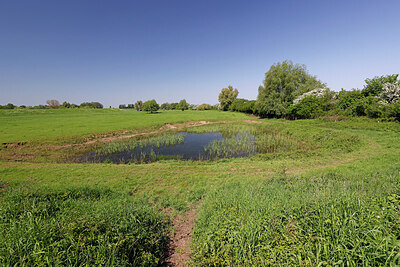 BUITEN BEELD Foto: 451360