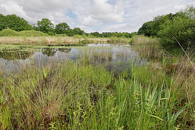 BUITEN BEELD Foto: 451364