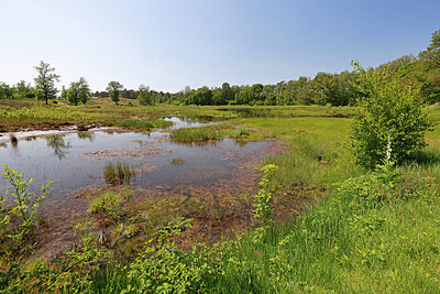 BUITEN BEELD Foto: 451365