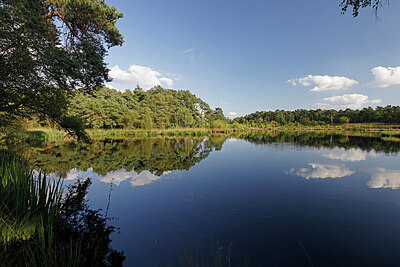 BUITEN BEELD Foto: 451366