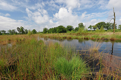 BUITEN BEELD Foto: 451367