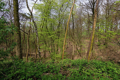 BUITEN BEELD Foto: 451368