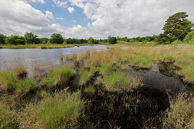 BUITEN BEELD Foto: 451369