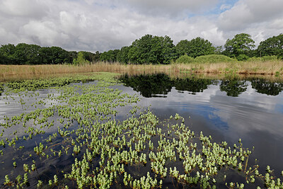 BUITEN BEELD Foto: 451372