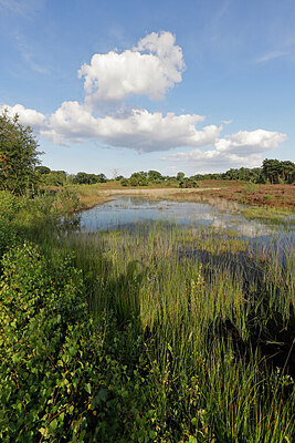 BUITEN BEELD Foto: 451373