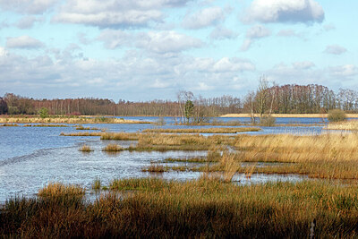 BUITEN BEELD Foto: 451374