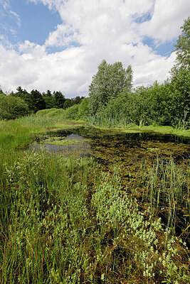 BUITEN BEELD Foto: 451378