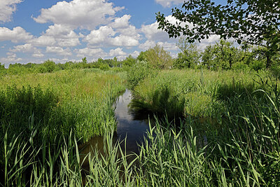 BUITEN BEELD Foto: 451379