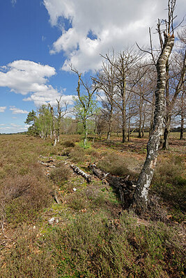 BUITEN BEELD Foto: 451380
