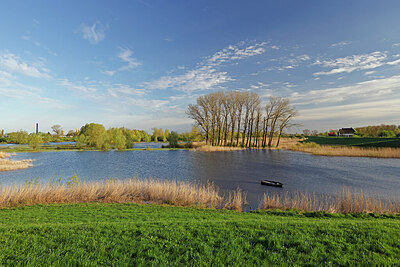 BUITEN BEELD Foto: 451381