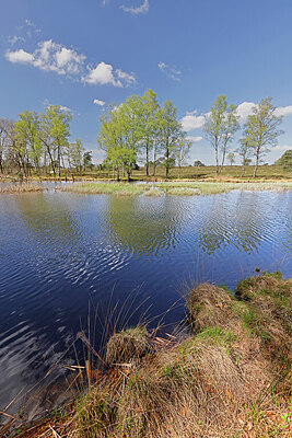 BUITEN BEELD Foto: 451382