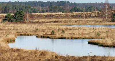 BUITEN BEELD Foto: 451388
