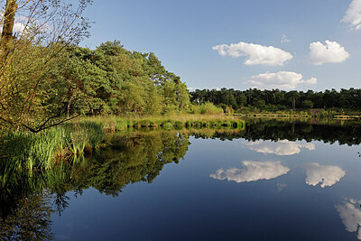 BUITEN BEELD Foto: 451392