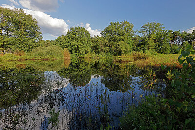 BUITEN BEELD Foto: 451394
