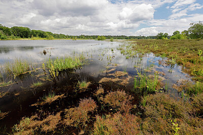 BUITEN BEELD Foto: 451396
