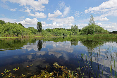 BUITEN BEELD Foto: 451398