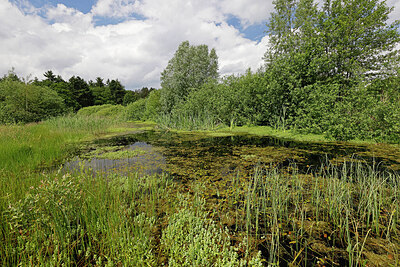BUITEN BEELD Foto: 451399