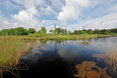 BUITEN BEELD Foto: 451402