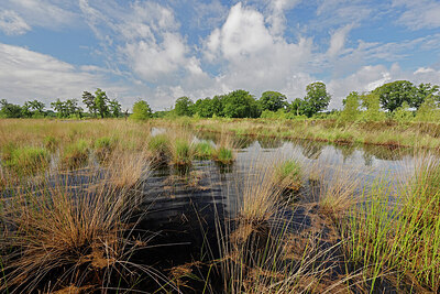 BUITEN BEELD Foto: 451403