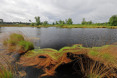 BUITEN BEELD Foto: 451404