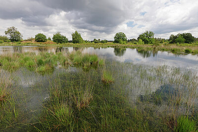BUITEN BEELD Foto: 451405