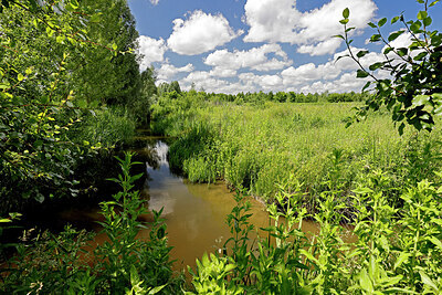 BUITEN BEELD Foto: 451409