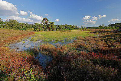 BUITEN BEELD Foto: 451415